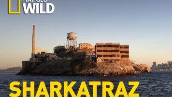Sharkatraz