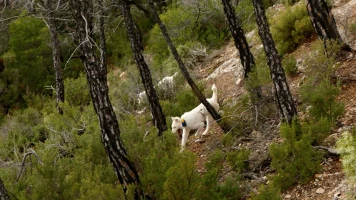 Monteando entre cierres y traviesas