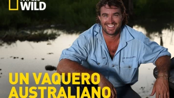 Un vaquero australiano