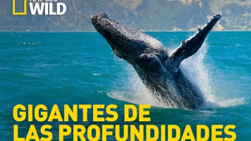 Gigantes de las profundidades