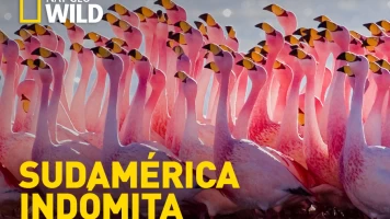 Sudamérica indómita