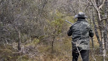 Becadas, un regalo del invierno