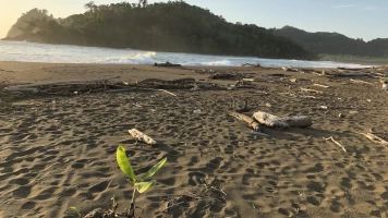 De viaje: de Garachiné a Juradó