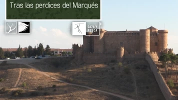 Tras las perdices del Marqués