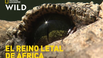 El reino letal de África