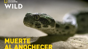 Muerte al anochecer
