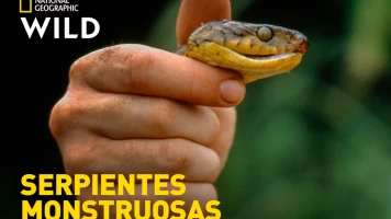 Serpientes monstruosas