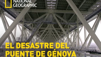 El desastre del puente de Génova
