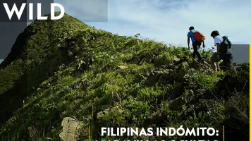 Filipinas indómito: maravillas ocultas