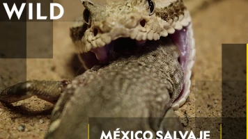 México salvaje