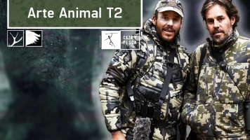 Arte animal