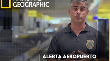 Alerta Aeropuerto