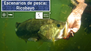 Escenarios de pesca: Ricobayo