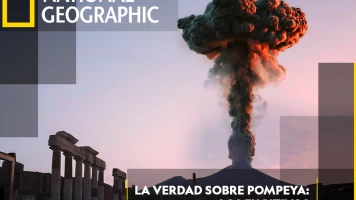 La verdad sobre Pompeya: Los fugitivos