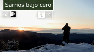 Sarrios bajo cero