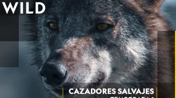Cazadores salvajes