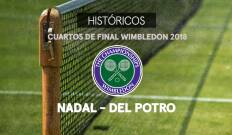 Ronda Masculina. Ronda Masculina: Nadal- Del Potro. Cuartos 2018