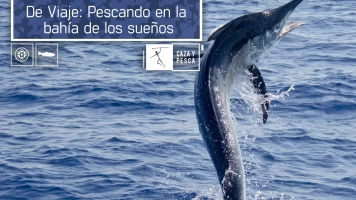 De viaje: pescando en la bahía de los sueños