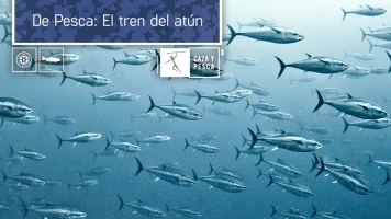 De pesca: el tren del atún