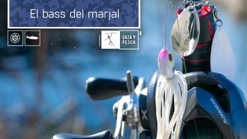 El bass del marjal