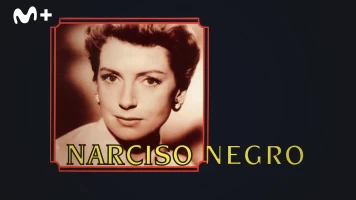 Narciso negro