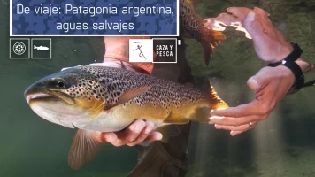 De Viaje: Patagonia argentina, aguas salvajes