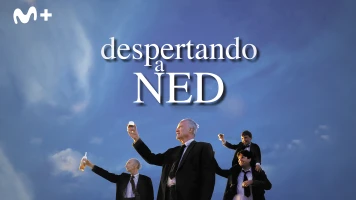 Despertando a Ned