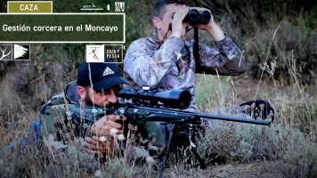 Gestión corcera en el Moncayo