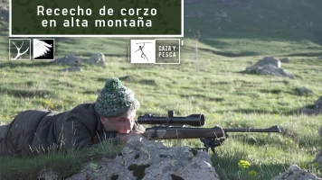 Rececho de corzo en alta montaña