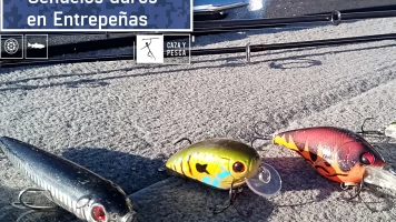 Señuelos duros en Entrepeñas