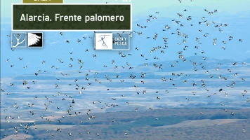 Alarcia, frente Palomero