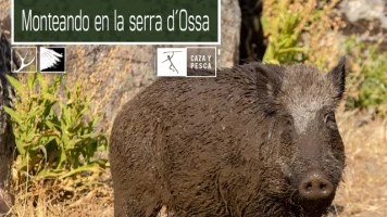 Monteando en la Serra d'Ossa