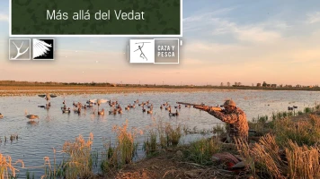 Más allá del vedat