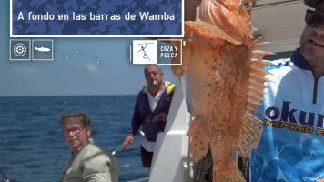 A fondo en las barras de Wamba
