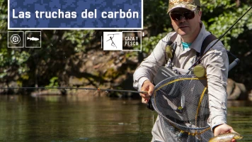 Las truchas del carbón