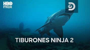 Tiburones ninja 2