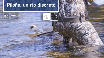 Piloña, un río discreto