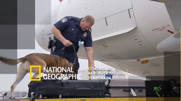 Control de aeropuertos: USA