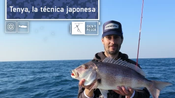 Tenya, una técnica japonesa