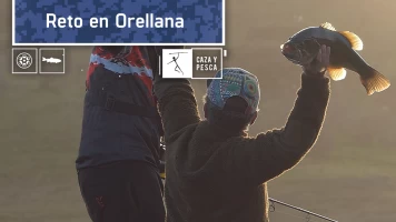 Reto en Orellana