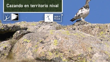 Cazando en territorio nival