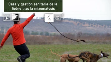 Caza y gestión sanitaria tras la mixomatosis