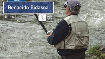 Renacido Bidasoa