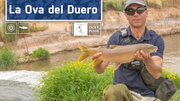 La ova del Duero