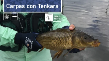Carpas con Tenkara