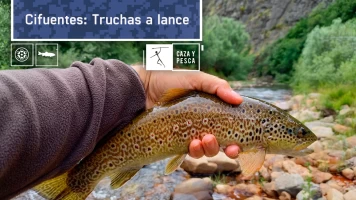 Cifuentes: Truchas a lance