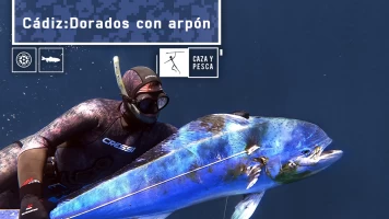Cádiz, dorados con arpón