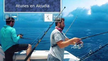 Atunes en Alcudia