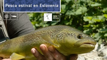 Pesca estival en Eslovenia