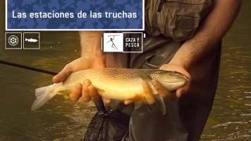 Las estaciones de las truchas